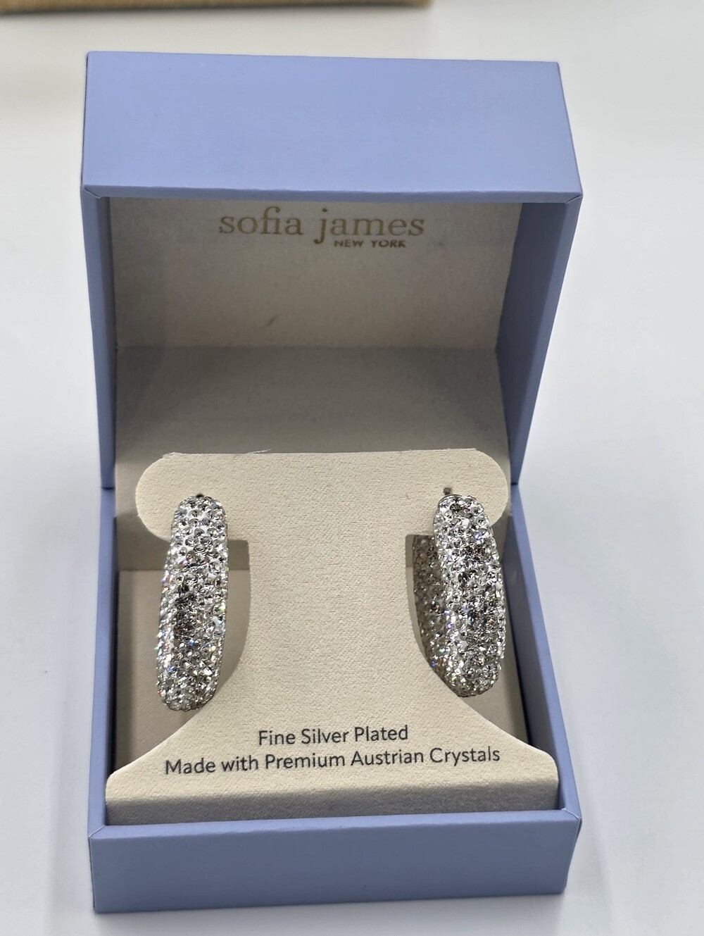 Sofia James Silver Plated Austrian Crystal Hoop Statement Earrings - Silver New